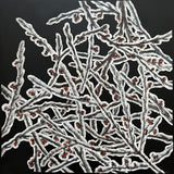 Iced Ember (Winter)