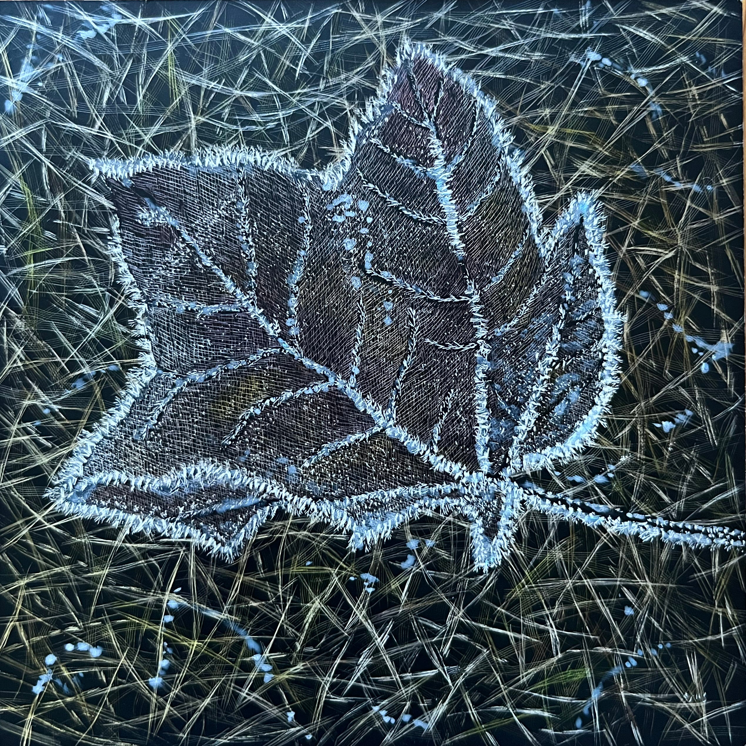 Frosty leaf #1