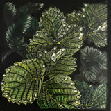 strawberry leaves