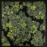 Sprouting (Clovers)
