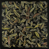 Golden (gold leaves)