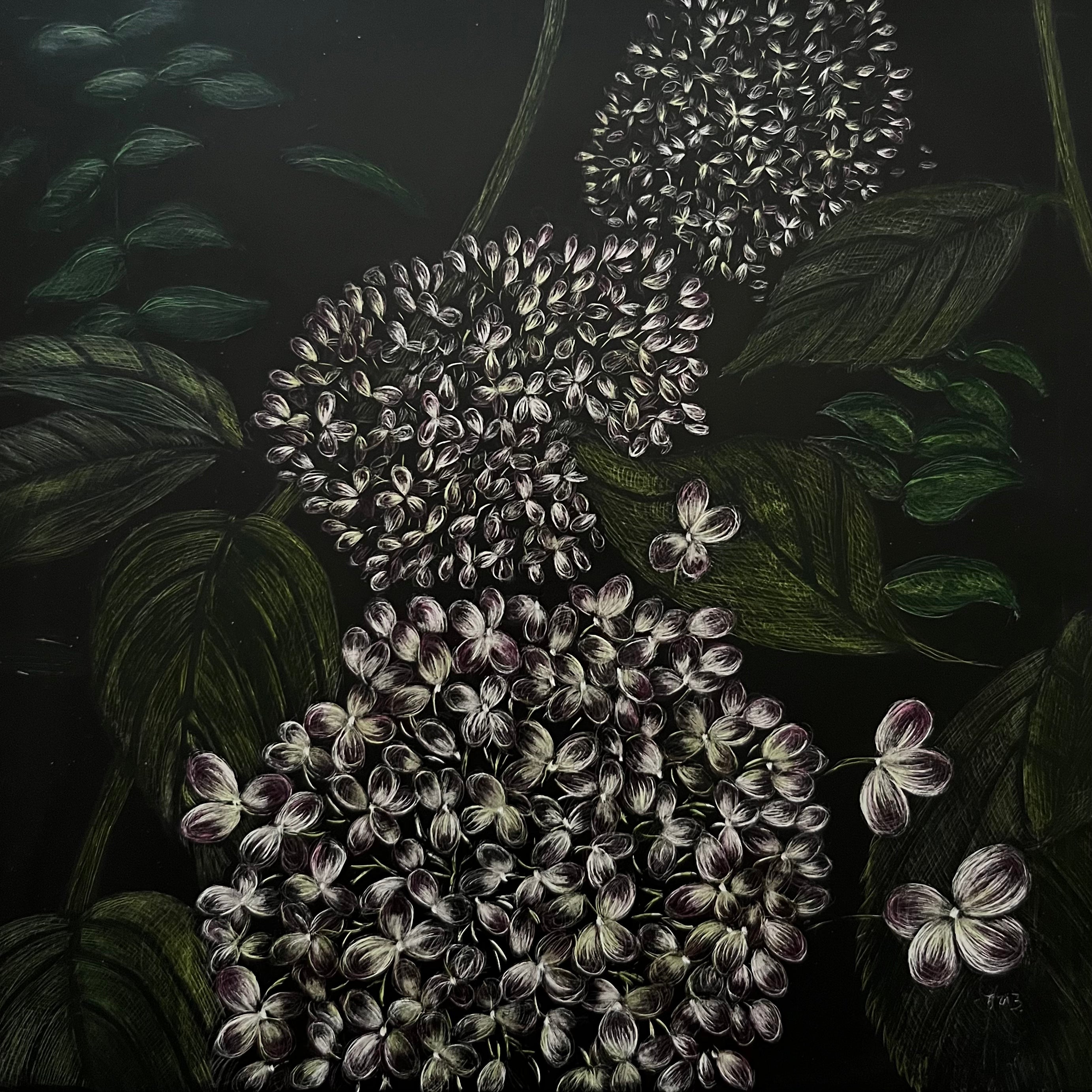 Blush 6"x6" (Blushing Hydrangea)