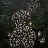 Blush 6"x6" (Blushing Hydrangea)