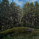 Serenity Bench #3