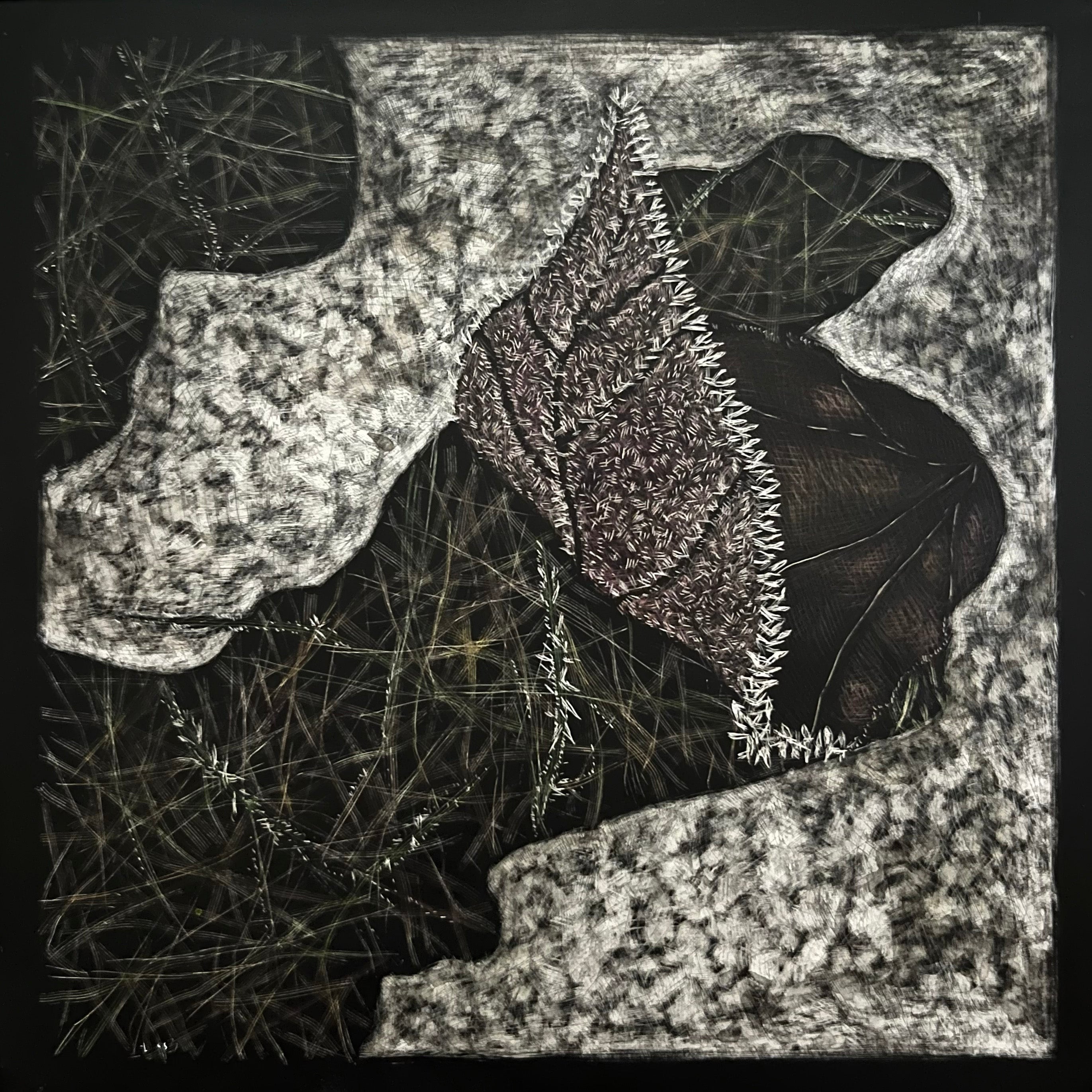Fringed (Frosty Leaf)