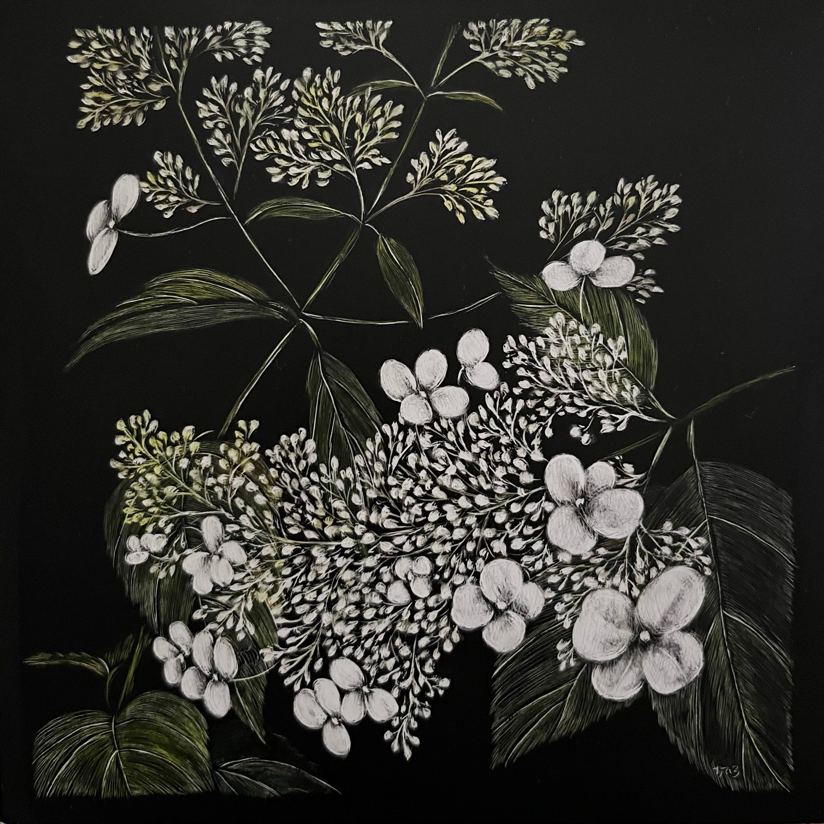 Limelight (Hydrangea)