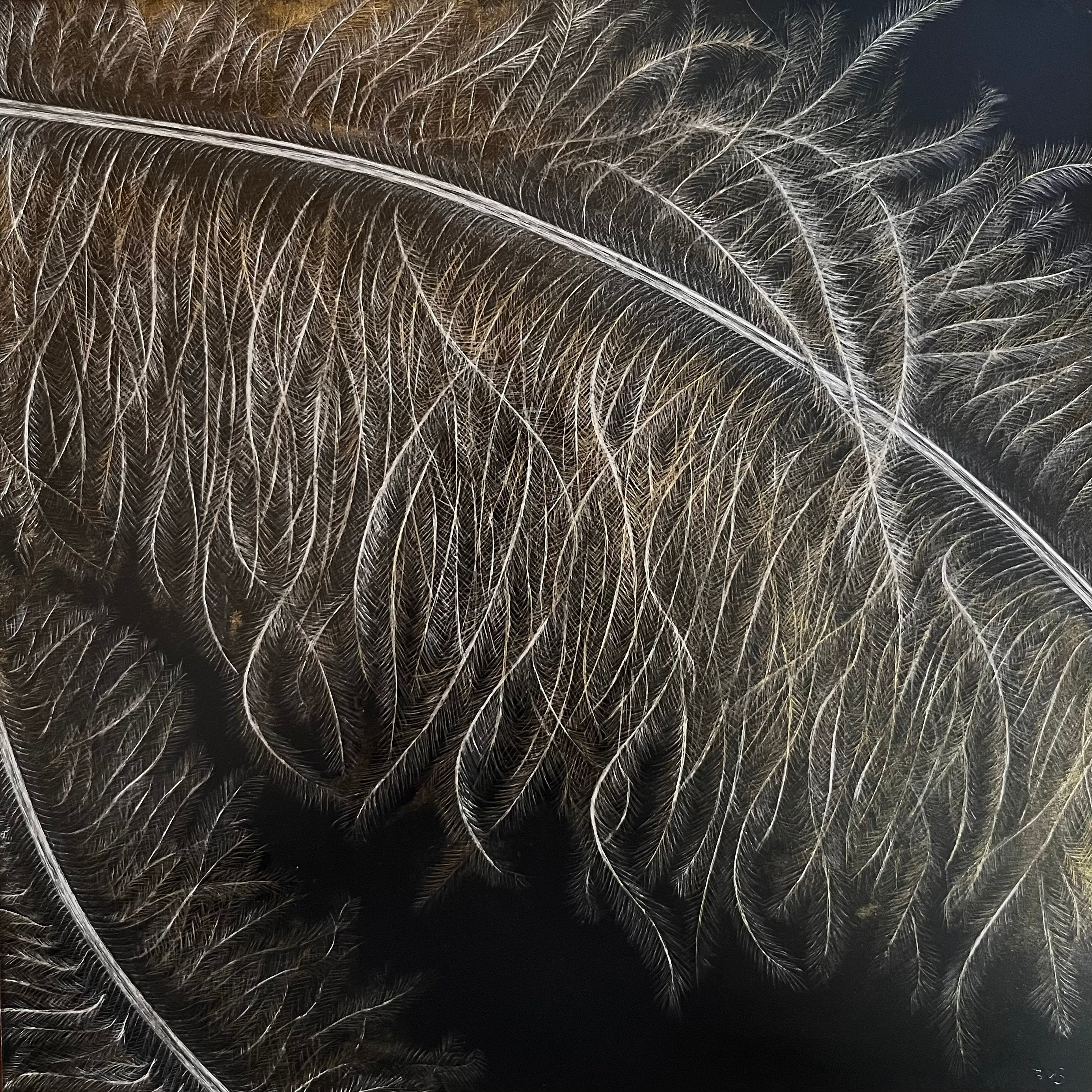 8"X8" Gilded Plume (Ostrich feathers)