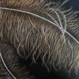 8"X8" Gilded Plume (Ostrich feathers)