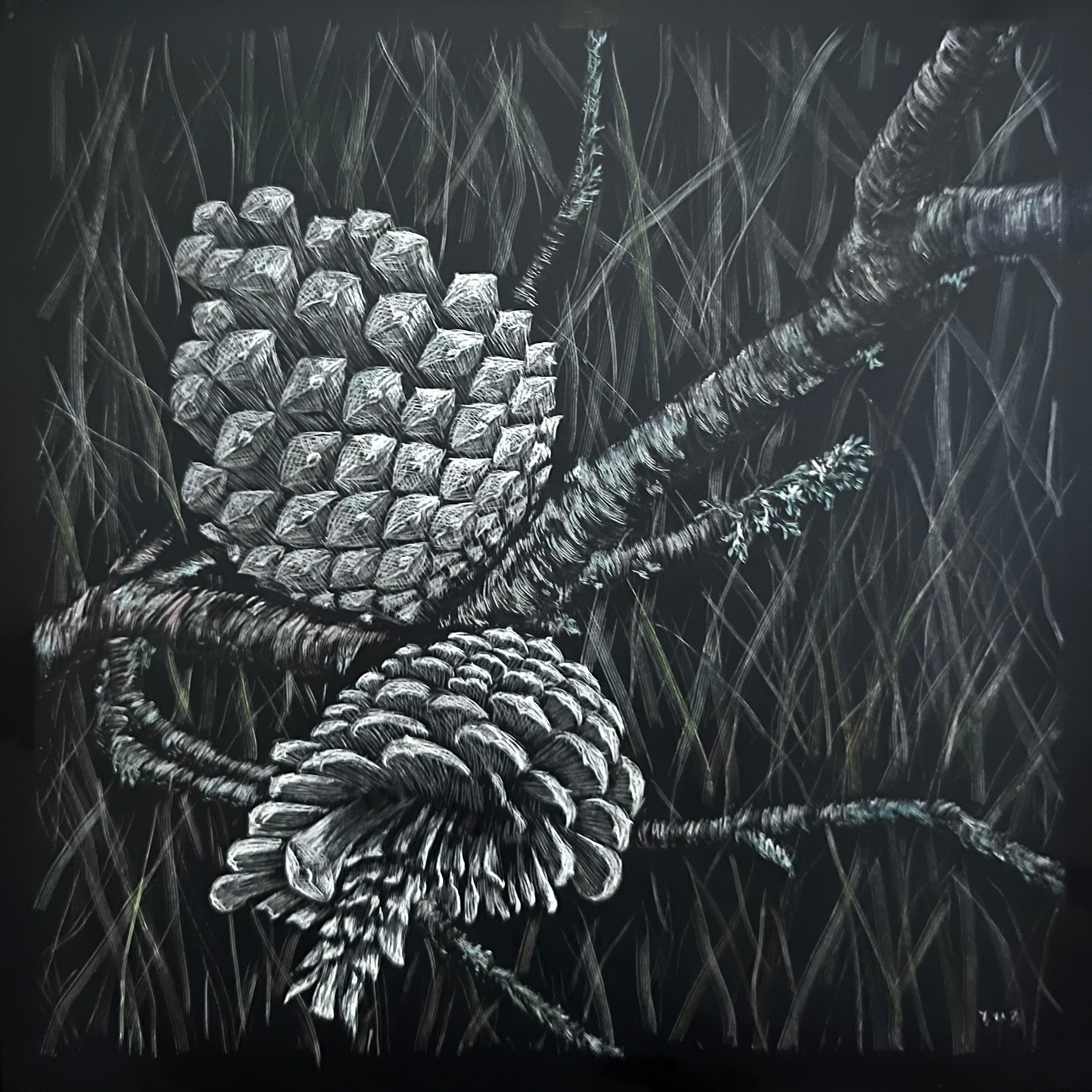 Sylvan (Pine cones)